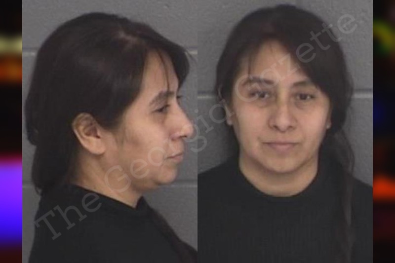 Teresa Montalvo Lombardy Missing: Local Authorities Launch Search for Missing Woman Today as Family Pleads for Public Assistance